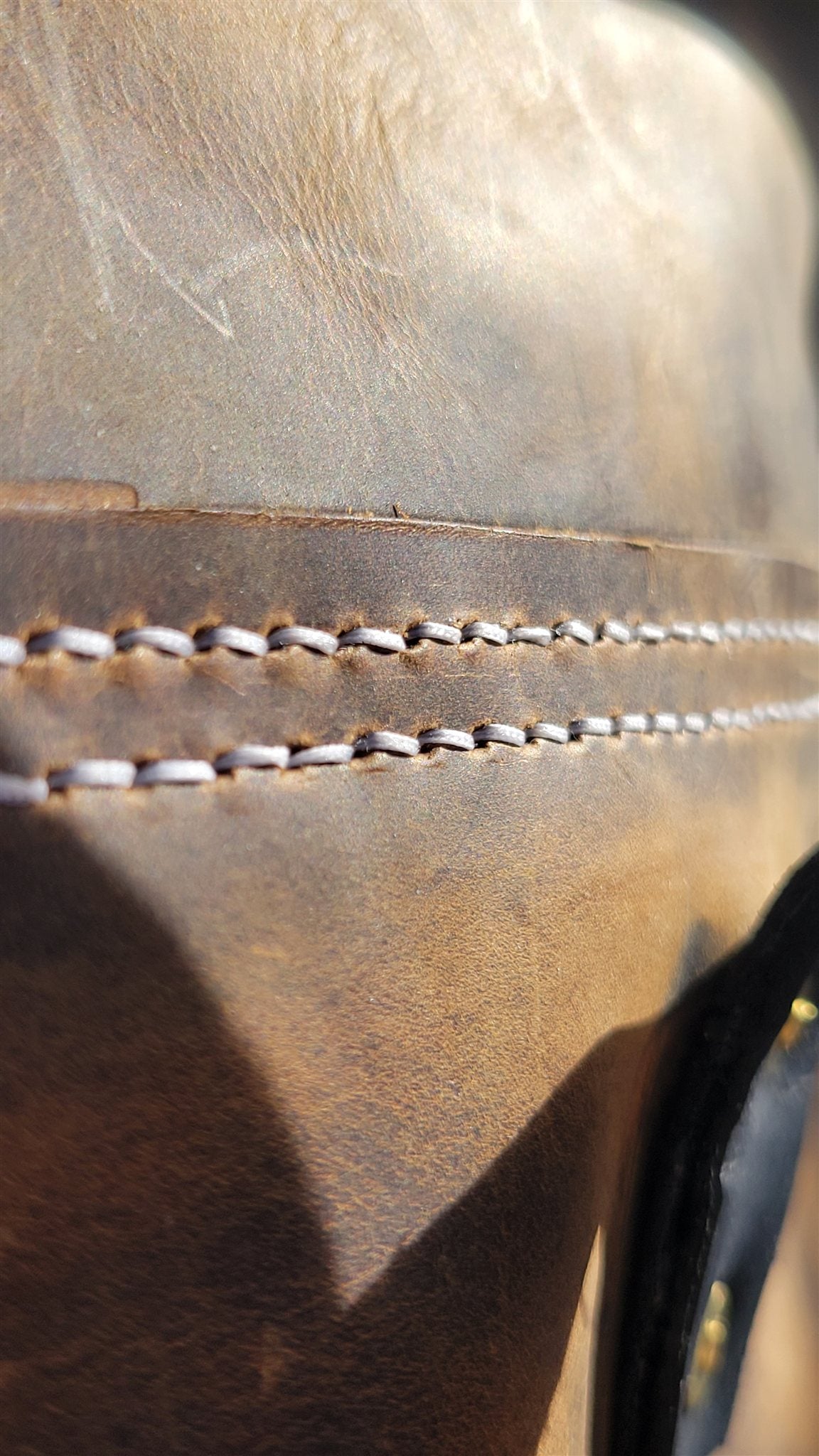 Traveller Roll-Top Backpack – Honey – photo 7